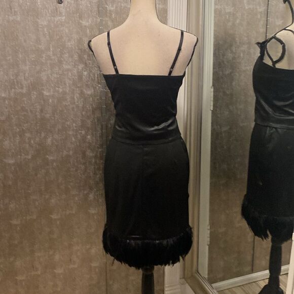 Cache feather trimmed skirt set( 2pc), size 6 - Picture 6 of 9